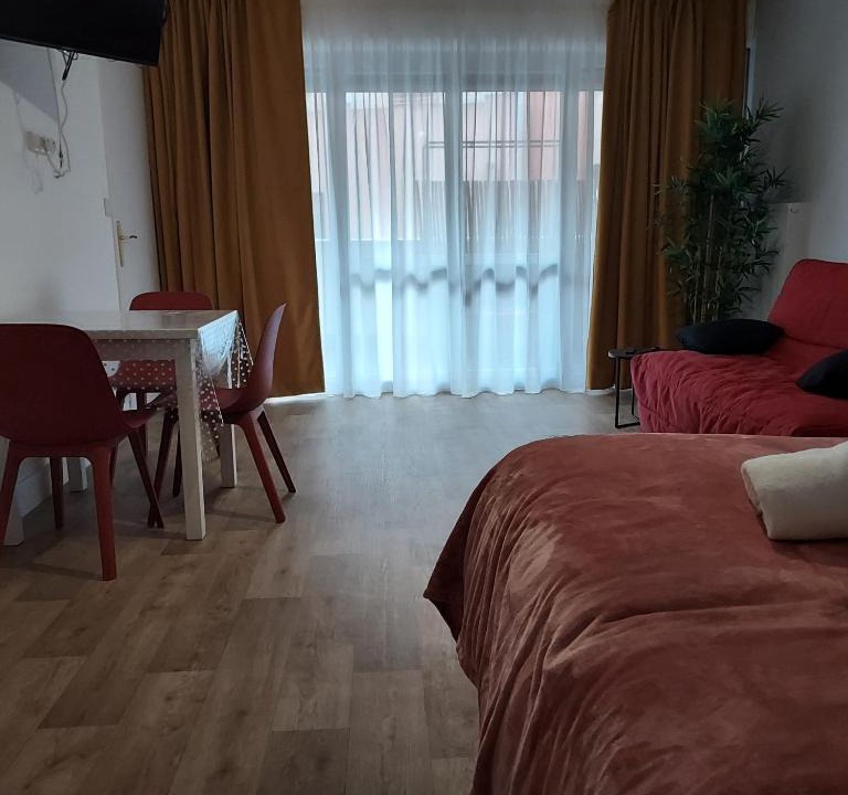 Saint-Vincent Apartment | 2 LYS Orleans Downtown, free secure parking