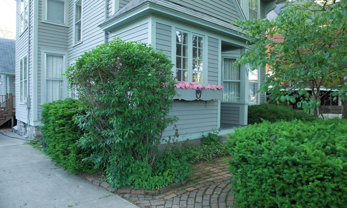 Burlington Bed & Breakfast | Bear's Den @ Squirrel's Nest B&B, LLC