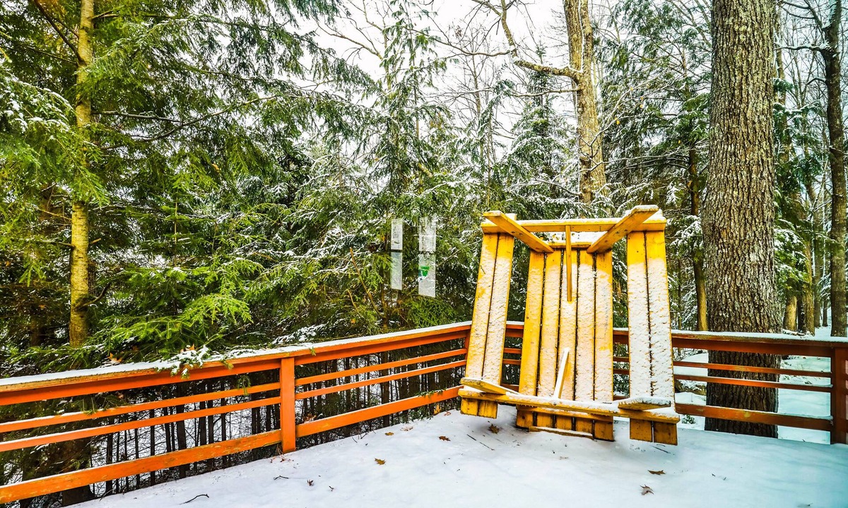 Phelps Cabin | Dog-friendly cabin on Lac Vieux Desert Lake with patio & free WiFi