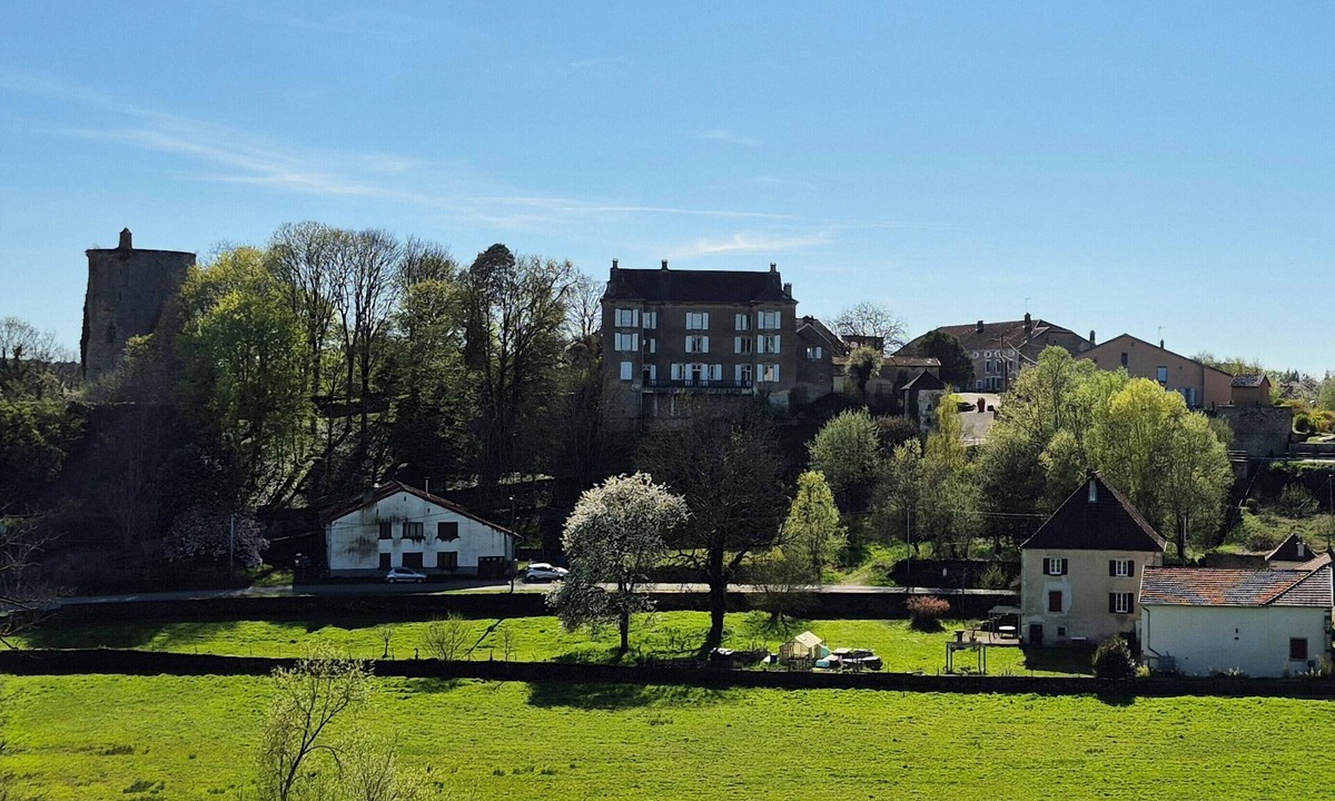 Passavant-la-Rochere Other | Franche-Comté- Vosges du sud - Chateau 15 people, 7 rooms, 1 DSB, 1SDD