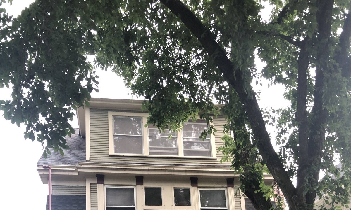 Lakewood-Balmoral House | Large 4 level frame home on leafy street in Chicago