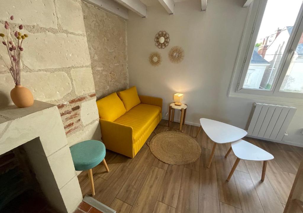 La Fuye-Velpeau Apartment | Le Cocon du Rempart Studio de charme avec mezzanine TOURS centre