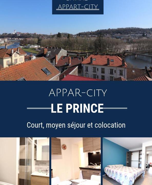 Epinal Apartment | Le Pinacle du Prince