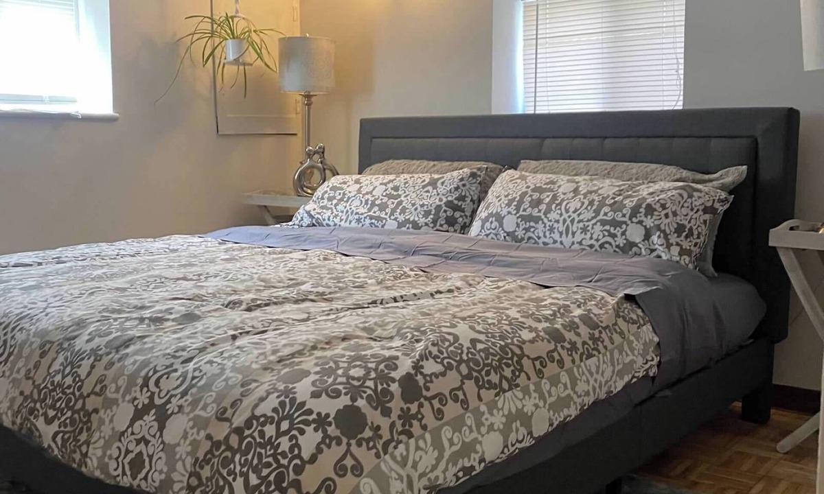 Franklin Park Apartment | Lovely studio at the attic king +full bed in bedroom and futon in kitchen.