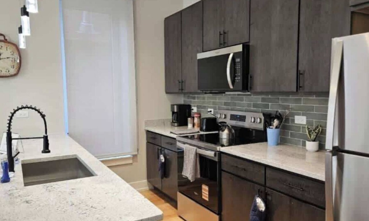 Heart of Chicago Apartment | Renovated 3 Bedroom Chicago Downtown Pilsen