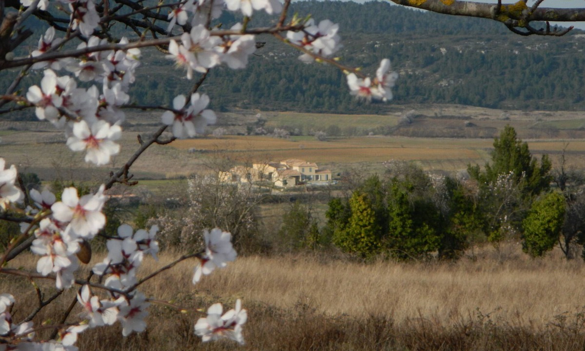 Tournissan Apartment | "Sunset apartment" at La petite Auberge, 1 - 5 p in a haven of peace!