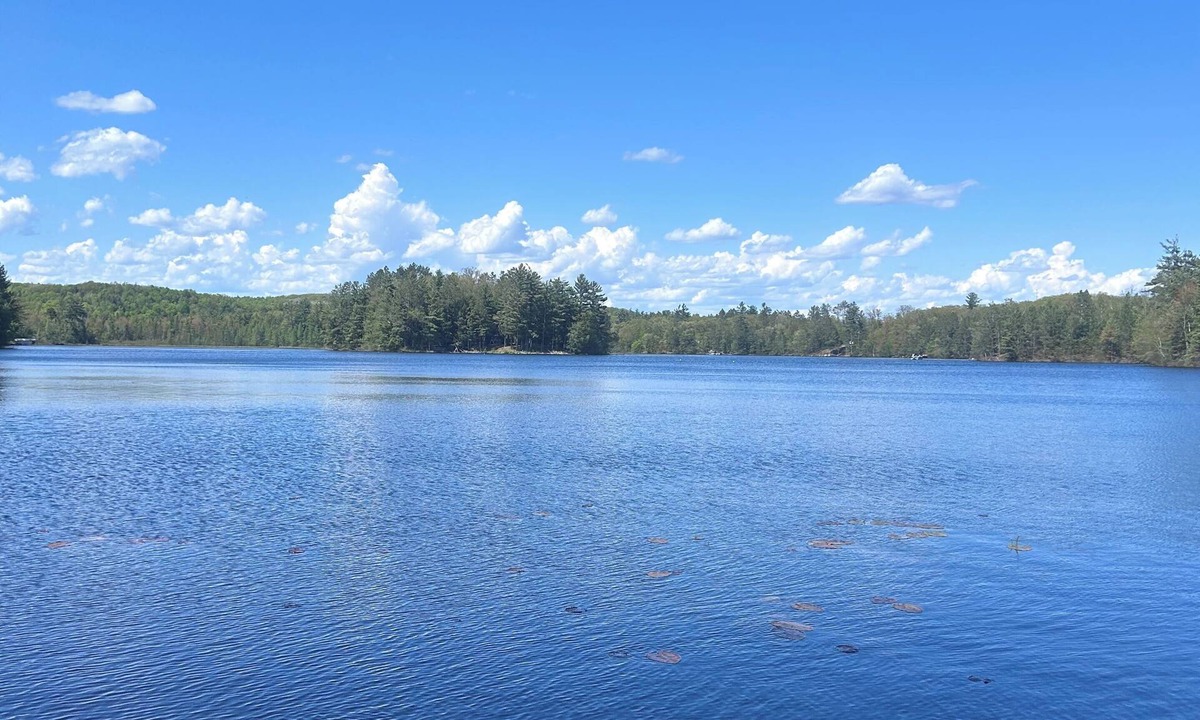 Athelstane Cabin | The Wild Goose Cabin