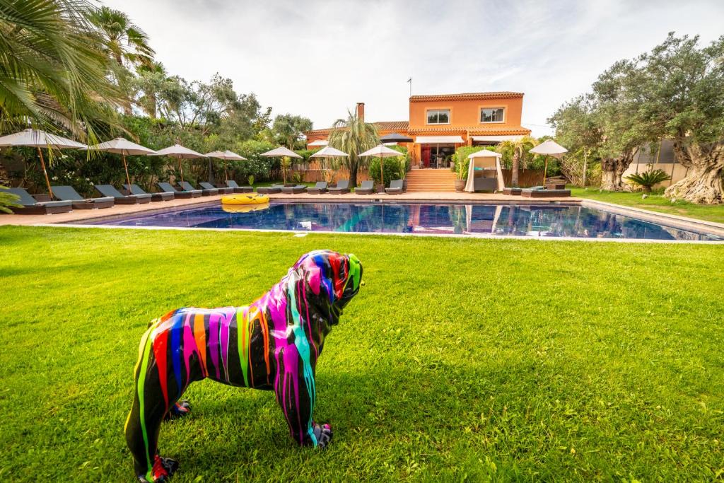 Le Grau-dʼAgde House | Villa peacock