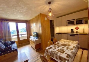 20m from resort center, 2nd floor, view ski slopes, balcony, tv, ski locker, 25m², La Plagne