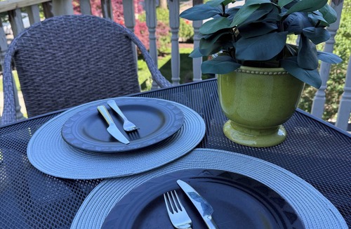 Oak Park House | 2-BR central Oak Park flat+near FLW homes+near trains to Chicago+pets ok+parking