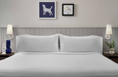 Streeterville Hotel | A Place You'll Surely Enjoy! Full Kitchen, Free Breakfast, Pets Allowed