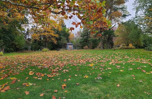Wasco House | Blue Door Cottage ranch home 3 Bed/2 Bath & private hot tub on an acre