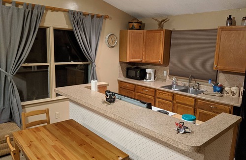 Mesick Cabin | Bright stars, peaceful nights, and pets welcome—your Northern Michigan retreat ,