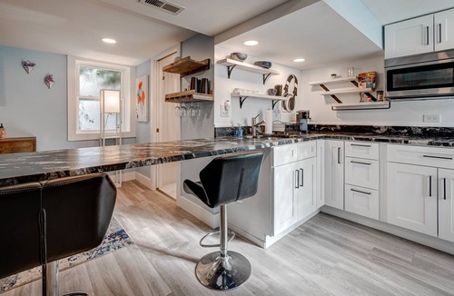 Bucktown Condo | Bucktown Beauty! Pet friendly and (Secret) Space for the Whole Group by RedAwning