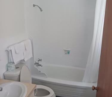 Brevort Hotel | Chapel Hill Motel
