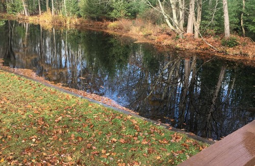 Cadillac Cottage | Charming 2-bedroom cottage on Lake Mitchell in Cadillac with WiFi
