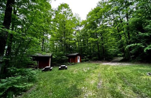 White Lake House | Charming Cabin in the Trees near Boulder Lake for an Amazing Escape near White Lake, Wisonsin