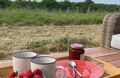 Saint-Genes-de-Lombaud House | Charming house with vineyard view - 3 bedrooms - near Bordeaux & St-Émilion