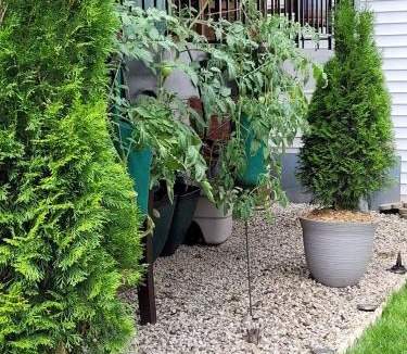 Lakewood-Balmoral Apartment | Comfy Garden Suite in Andersonville