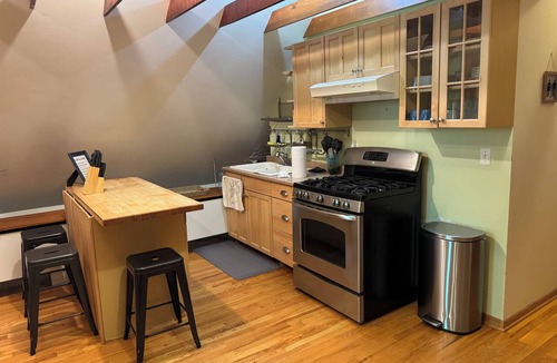 Wrigleyville Apartment | Cozy 1 bed, furnished apartment 2800/mo option park spot in garage 500/mo