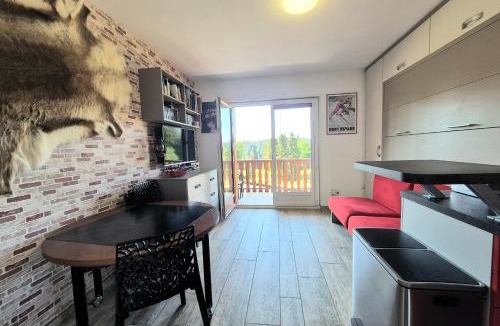 Les Deserts Apartment | Cozy apartment "WAPITI" at the foot of the slopes