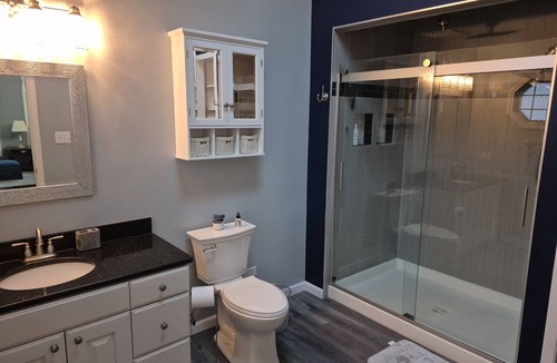 Joliet House | Cozy Mother-in-Law Suite w/Laundry, Kitchenette, Walk-In Closet, and Rain Shower