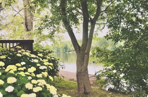Comstock Park Cottage | Cozy river house near downtown Grand Rapids!