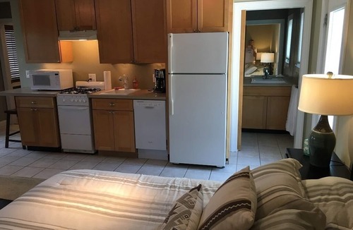 Douglas Apartment | Cute and cozy studio apt located 1/2 mile from Lake Michigan.