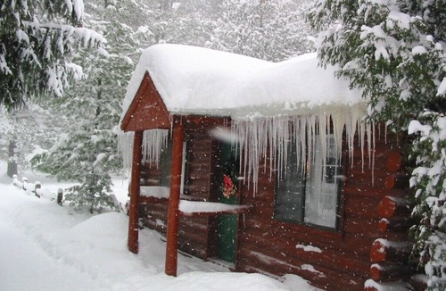 Grawn Cabin | Ellis Lake Resort - Spruce Log Cabin-Interlochen/Traverse City