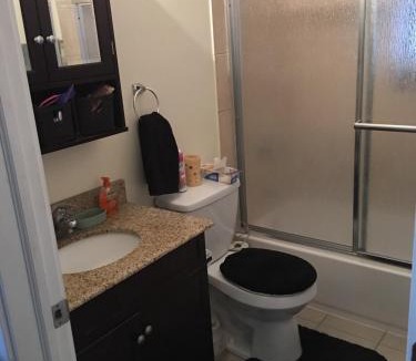 Lakeview Apartment | Entire Apt in Heart of Chicago