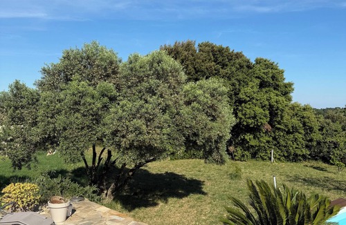 Saint-Marcel-d'Aredeche House | Gabriel's farmhouse