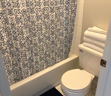Forest Park Apartment | J Luxury Suites Cute & Cozy 1Br Bi Level Loft Style Apt