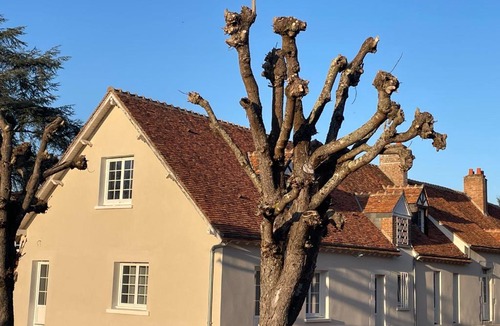 Cellettes Bed & Breakfast | Le clos du cèdre