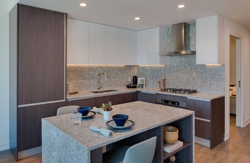 Near North Side Apartment | Level Chicago – Old Town