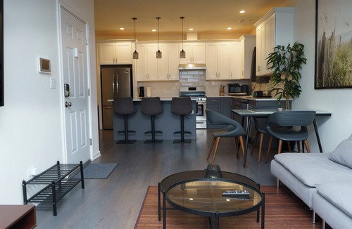 Dearborn Homes Condo | Luxury Cozy Condo near Downtown, China Town, McCormick Place, Holiday Specials