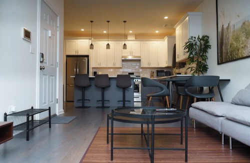 Dearborn Homes Condo | Luxury Cozy Condo near Downtown, China Town, McCormick Place, Holiday Specials