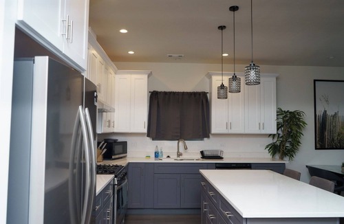 Dearborn Homes Condo | Luxury Cozy Condo near Downtown, China Town, McCormick Place, Holiday Specials