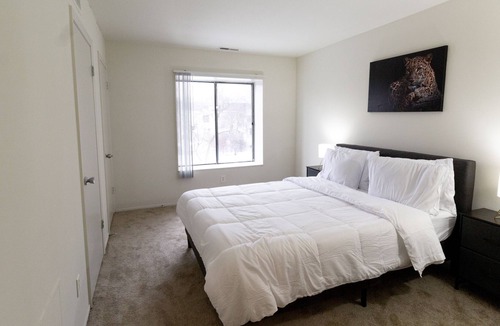 Ann Arbor Apartment | Peaceful retreat minutes away from U of M. Newly furnished!