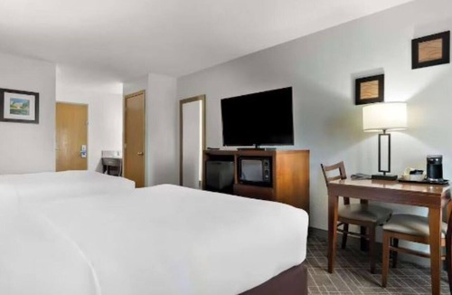 Joliet Hotel | Pet-Friendly Hotel Stay Near Route 66 Raceway & Chicagoland Speedway