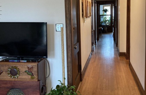 Uptown Condo | PRIVATE Boho vintage condo with sunrooms and plants in Historic Andersonville