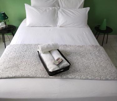 Notre-Dame du Mont Apartment | Quartier de verdure "Cours Julien La Plaine "chambre privée dans appartement