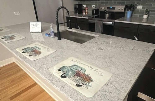 Heart of Chicago Apartment | Renovated 3 Bedroom Chicago Downtown Pilsen