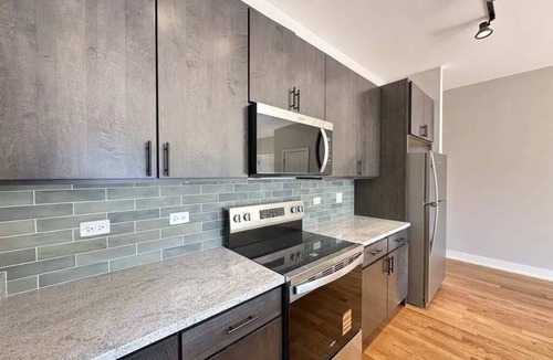 Heart of Chicago Apartment | Renovated 3 Bedroom Chicago Downtown Pilsen
