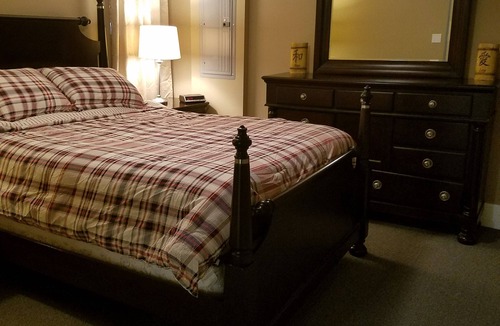 Grand Boulevard Apartment | Spacious Bronzeville Brownstone Garden level, near Downtown & Univ of Chicago