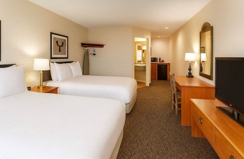 Peoria Hotel | Stoney Creek Peoria, Deluxe 2 Double w/Free Breakfast! | 4 Units
