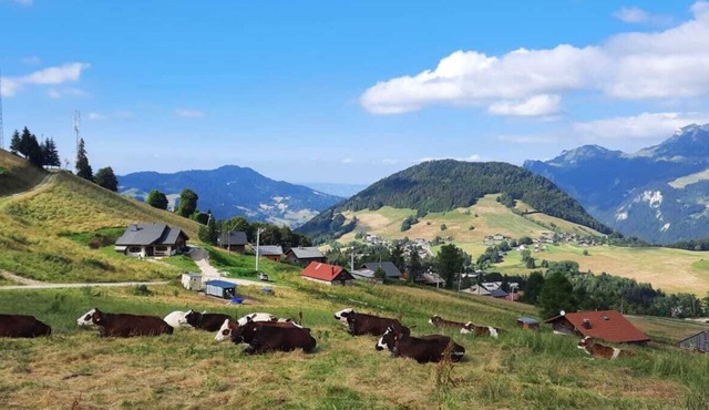 110m2 chalet, all comforts, in the heart of the mountain pasture.