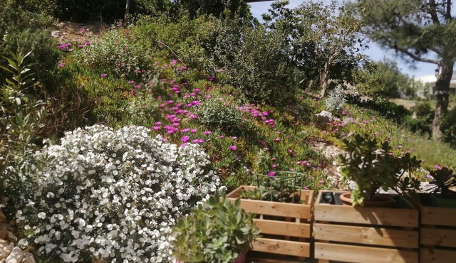 A well-appointed B&B close to the beach, ideal for a traveling couple.