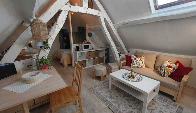 Apartment in a former farmhouse by the river.