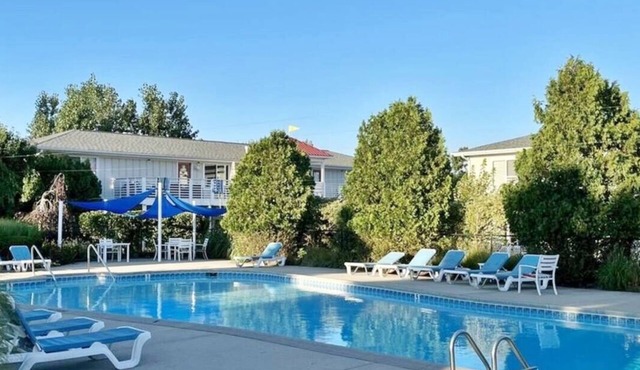 Blue Star Cabana: Swimming Pool, Dog Friendly, Walk to Douglas, Fun Condo