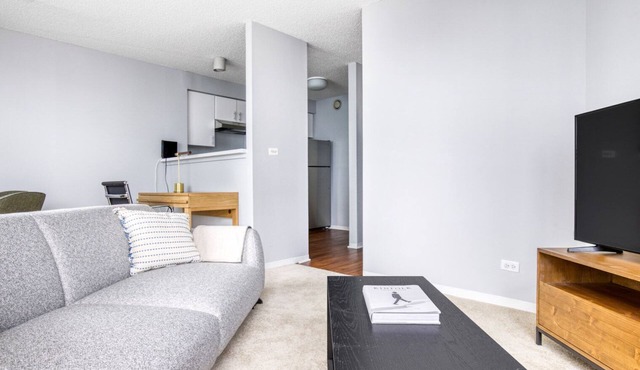Bright Streeterville 2BR w/Gym, Pool, near Navy Pier, by Blueground